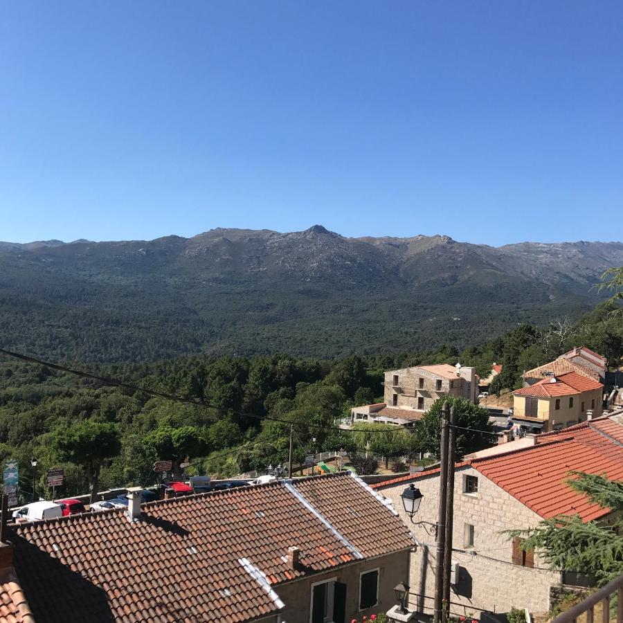 Hotel La Terrasse 宗扎 外观 照片